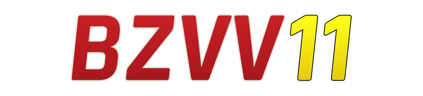 bzvv11 Logo